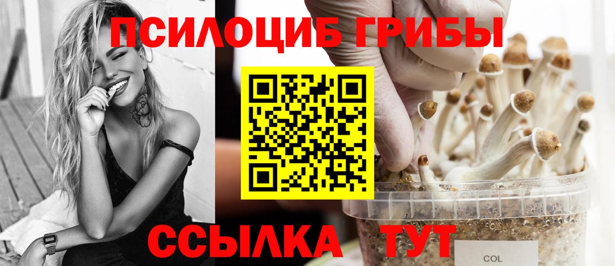 Галлюциногенные грибы прущие грибы Ялта